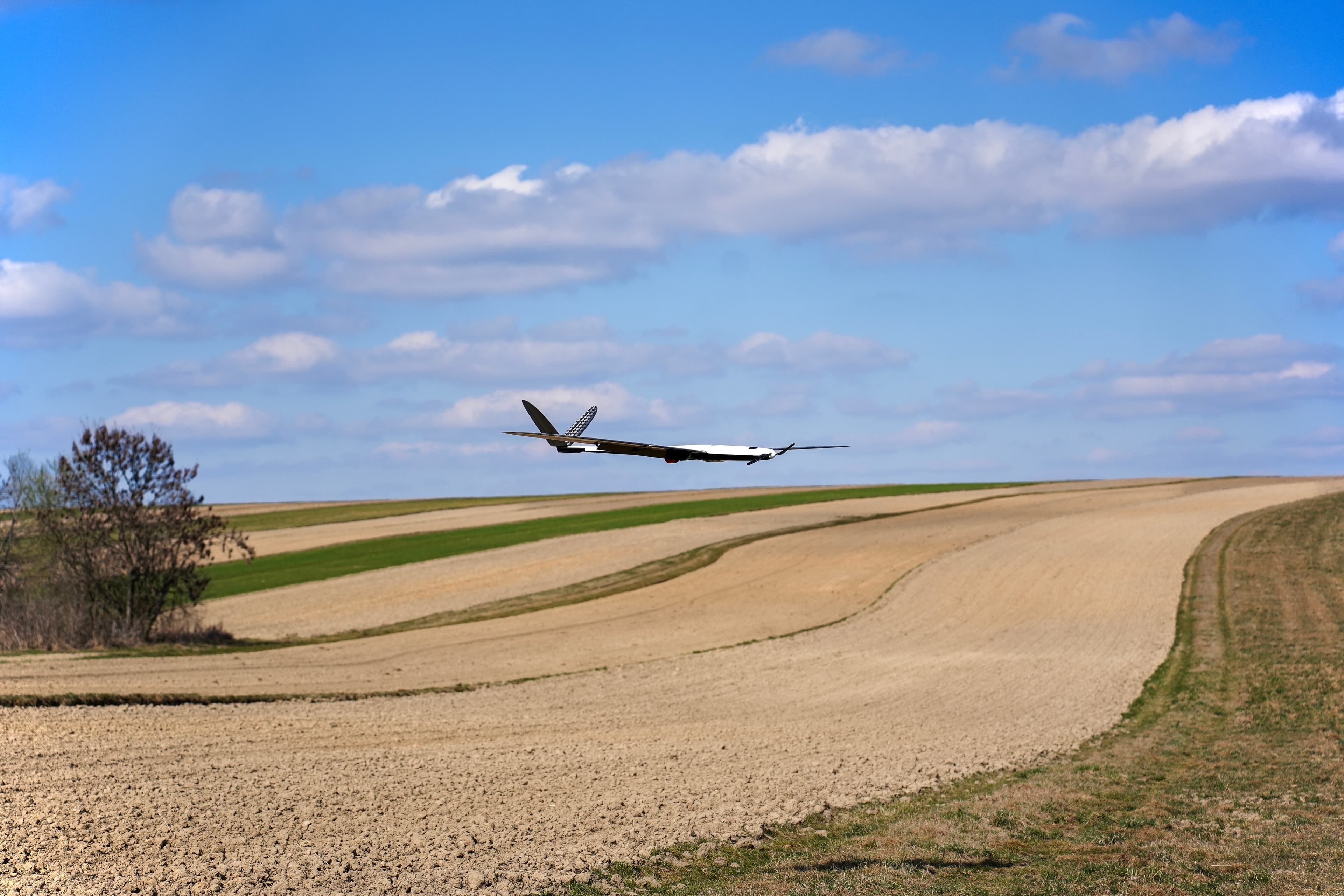 Plane in the sky, and a person in the foreground
